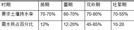 如何确定棉花该上多少肥料，滴多少水？