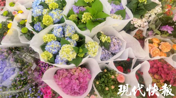 5月“花神”芍药俏销，茉莉花、栀子花也已陆续上市6