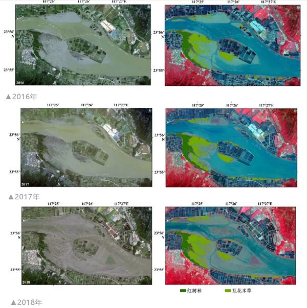 （2016-2018年福建漳江口红树林自然保护区内的红树林和互花米遥感影像）