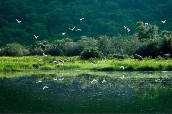 广东珠海淇澳岛红树林湿地自然保护区