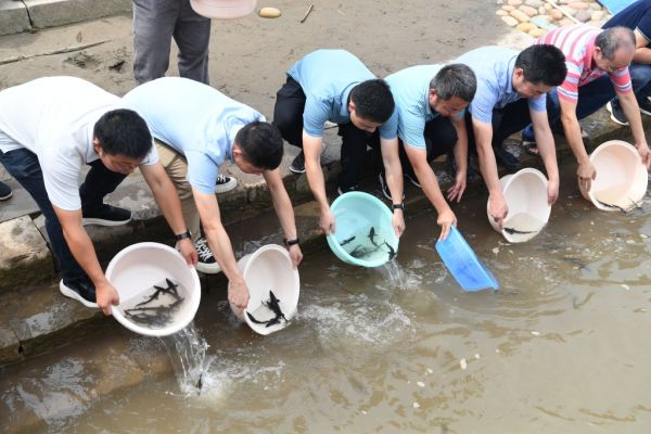 放流长江鲟等珍稀鱼类。受访单位供图