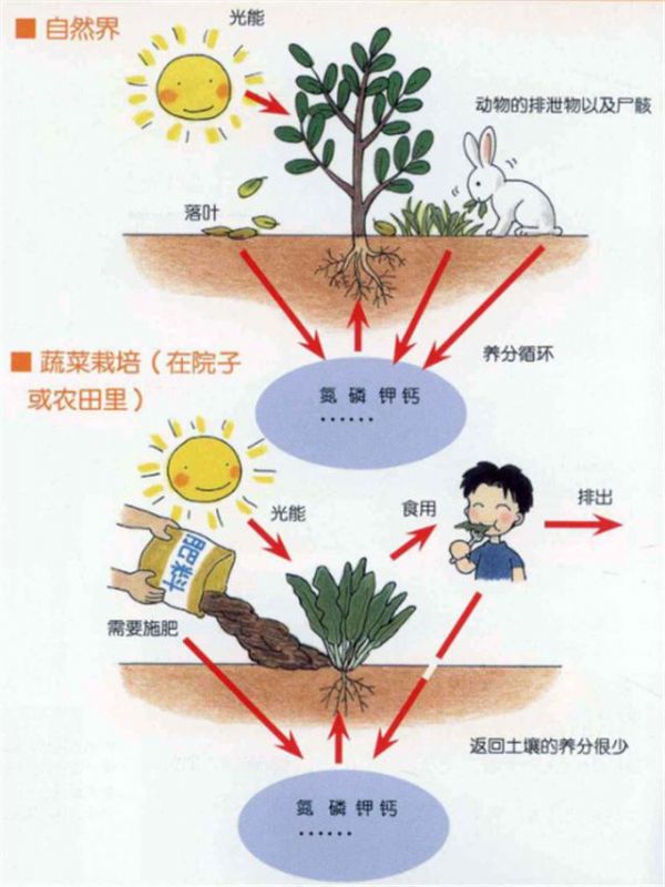 家庭养花种菜如何自己制作有机肥