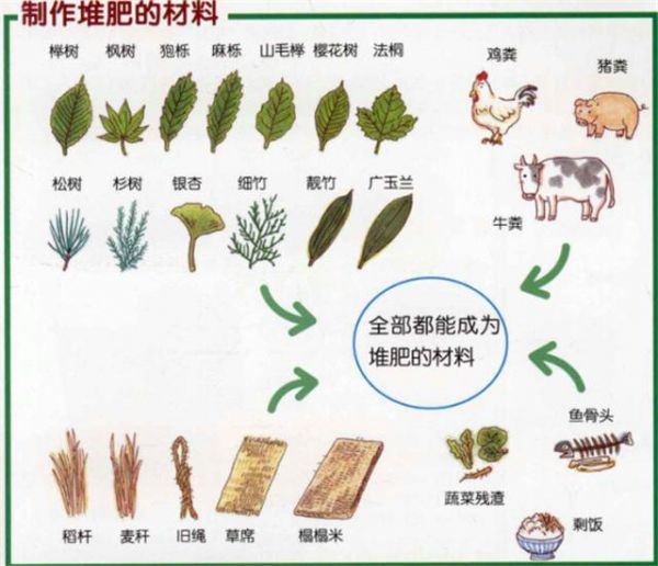 家庭养花种菜如何自己制作有机肥