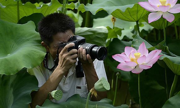 [转载]花卉摄影攻略