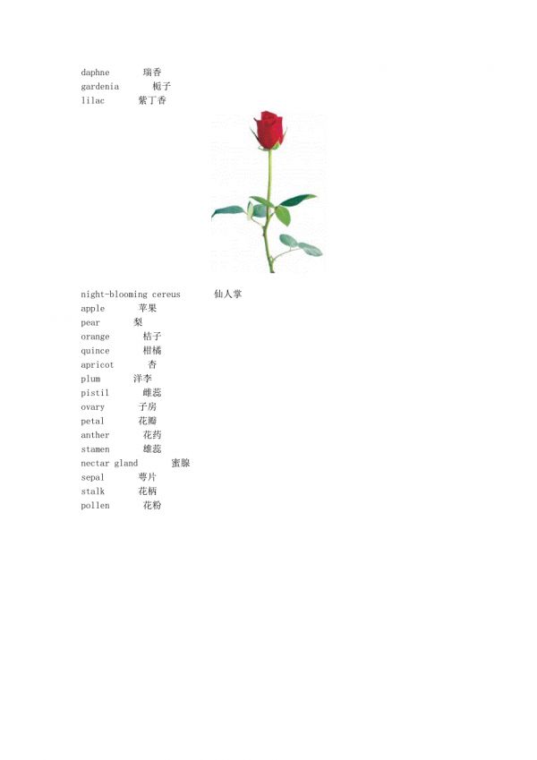 分类词汇 各种花.doc_第2页