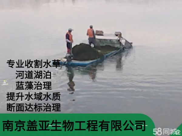 南京盖亚生物工程·盖亚生物工程专业收割水草，河道湖泊蓝藻治理，提升水域水质，断面达标治理