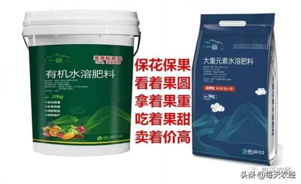 桃树全年各生长期病虫害、肥水管理以及农药使用需特别注意