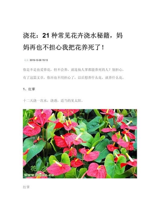 花浇水的功效和作用：100种常见花卉浇水方法