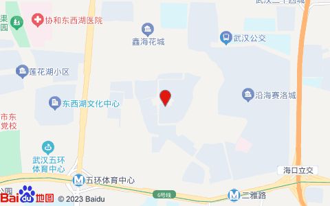 湖北省武汉市东西湖区黄狮海路4-6号位置示意图