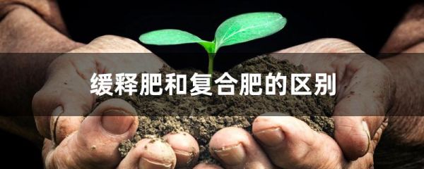 缓释肥和复合肥的区别