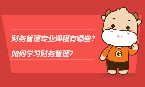 财务管理专业课程有哪些？如何学习财务管理？