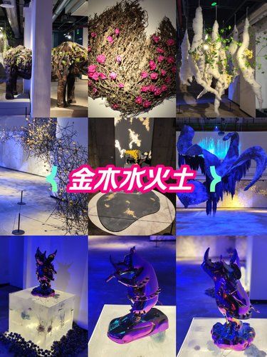 《五行·共生》花艺雕塑展