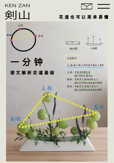 300块在花道可以学到什么｜排列花型构成技巧