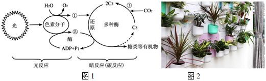 菁优网