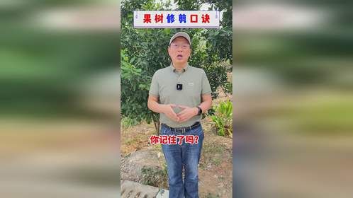 修剪果树千万不要乱剪，记住这个修剪诀窍，学会了你也是修剪专家