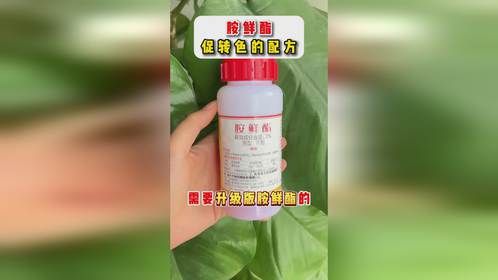 想让你的柑橘果皮细腻颜色鲜艳光泽度好，一定要赶紧用上这个方案