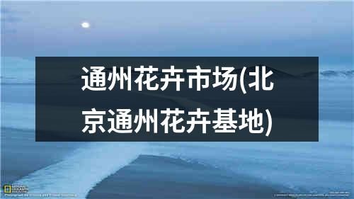 通州花卉市场(北京通州花卉基地)