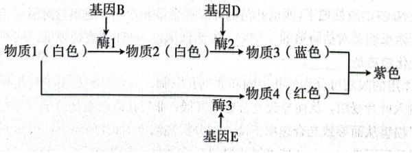 菁优网