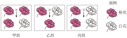 菁优网