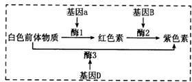 作业帮