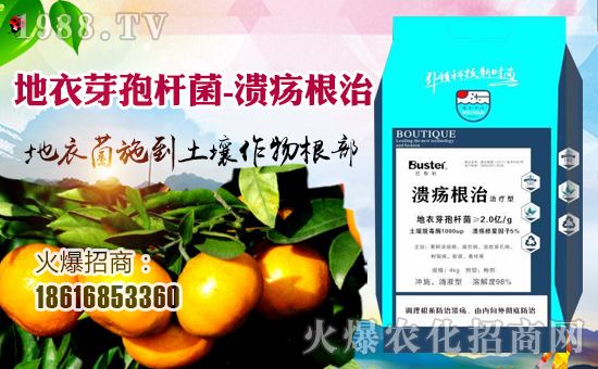 植物溃疡病防治新思路：打破传统方法，从“根”部入手！