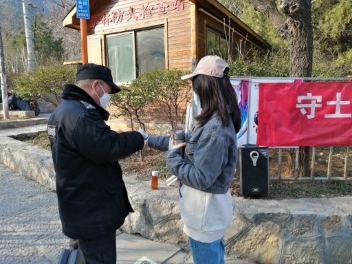 栽植“地被福禄考”、郁金香，济南春季城市道路绿化美化全面展开