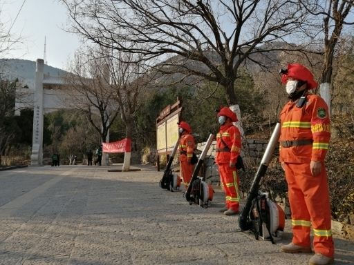 栽植“地被福禄考”、郁金香，济南春季城市道路绿化美化全面展开