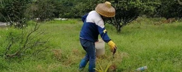 土壤活化剂的作用，能使土壤的表层快速湿润