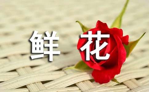 送鲜花赠言