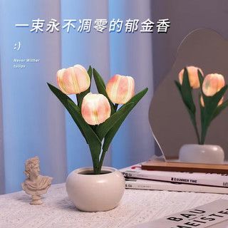 京东鲜花 郁金香小夜灯装饰花台灯卧室床头摆件创意生日礼物送女生闺