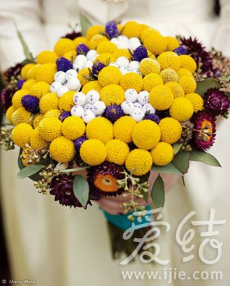 花材：金垂花