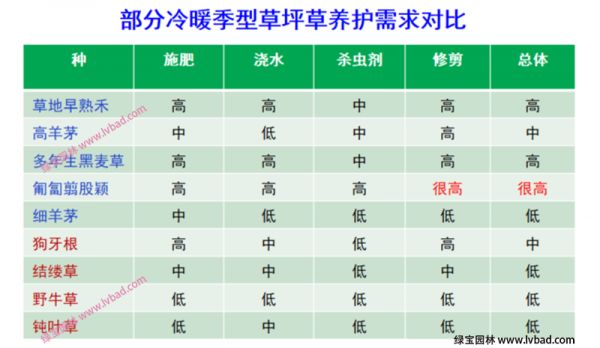 常用冷季型草坪养护难易度需求对比