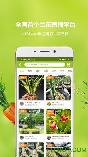 兰花交易网app下载