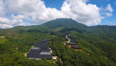 4000多株精品兰花亮相华南植物园_fororder_韶关翁源的兰花场（活动方供图）