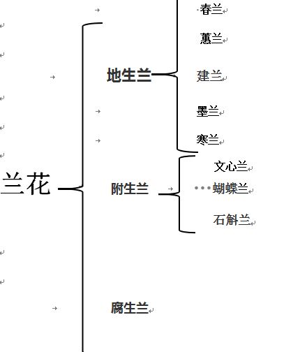 兰花品种大全以及兰花培育详解，兰花品种大全以及兰花培育图（春、蕙、建、墨、寒都在里面了）