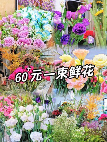 60多块钱❗买这么审美高级的鲜花[色]