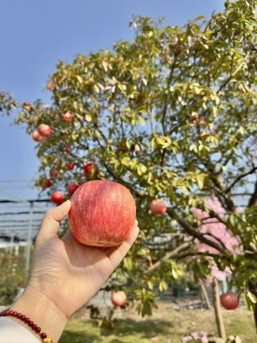 无锡人自己的花园届的“宜家”