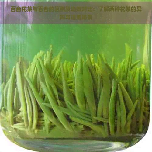 百合花茶与百合的区别及功效对比：了解两种花茶的异同与适用场景