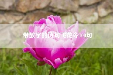 带数字的诗句飞花令100句！含有数字的诗句100首？