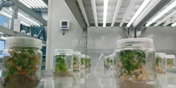 舟山微生物组培室,组培室