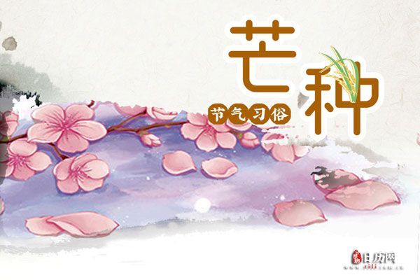 芒种送花神是什么意思