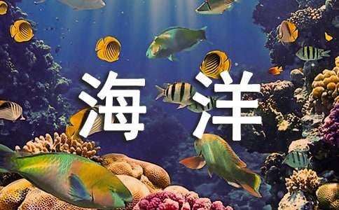 花的海洋作文9篇