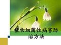 植物细菌性病害防治方法