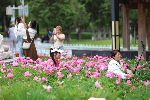 北京鲜花网站，绽放美丽，传递爱意