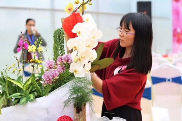 厉害！原来可以把蝴蝶兰插得这么好看！南海花卉博览园迎春花市进入预热阶段啦！~