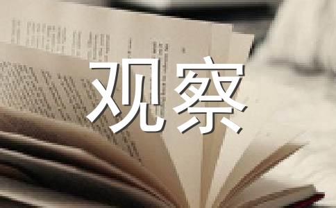 观察200字作文