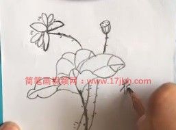 如何画荷花简笔画步骤