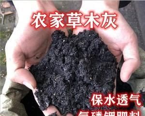 狗尿可以做肥料吗？这是科学家们的答案！（探寻狗尿肥料的秘密，为环保做出贡献！）