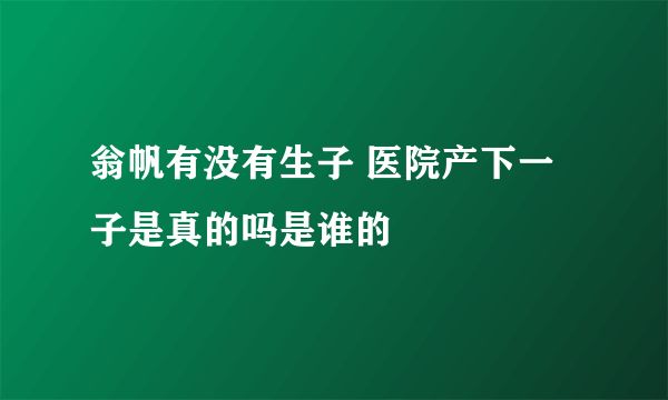 翁帆有没有生子 医院产下一子是真的吗是谁的