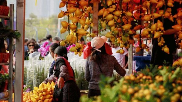 就在明天！广州荔湾这两个花市率先迎客